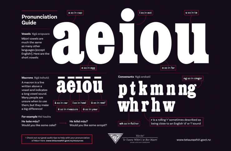 Check Out These Great Resources To Guide You On Your Te Reo Journey This M Ori Language Week