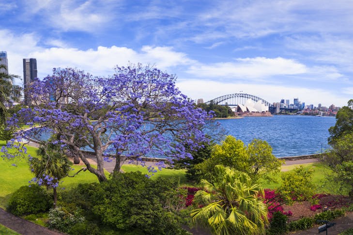 How To Spend The Ultimate Weekend In Sydney | Urban List