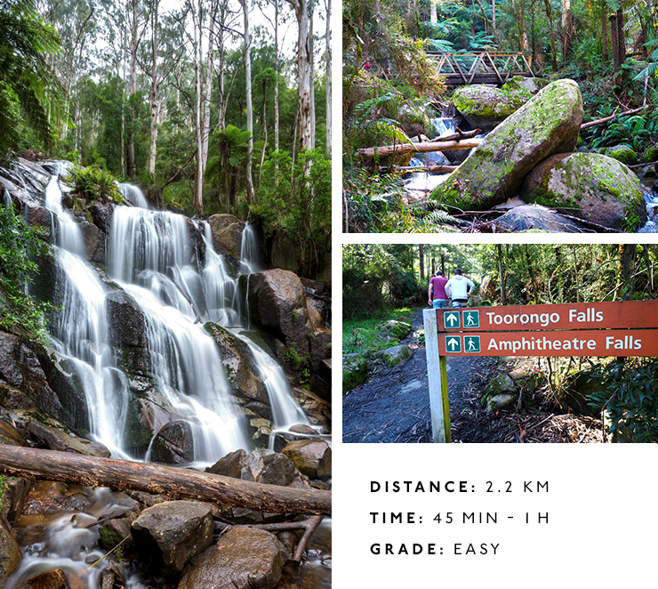 10 Amazing Walks Near Melbourne You Need To Take Melbourne Urban