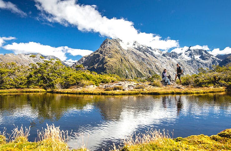 9 New Zealand Great Walks You Must Do | Urban List NZ