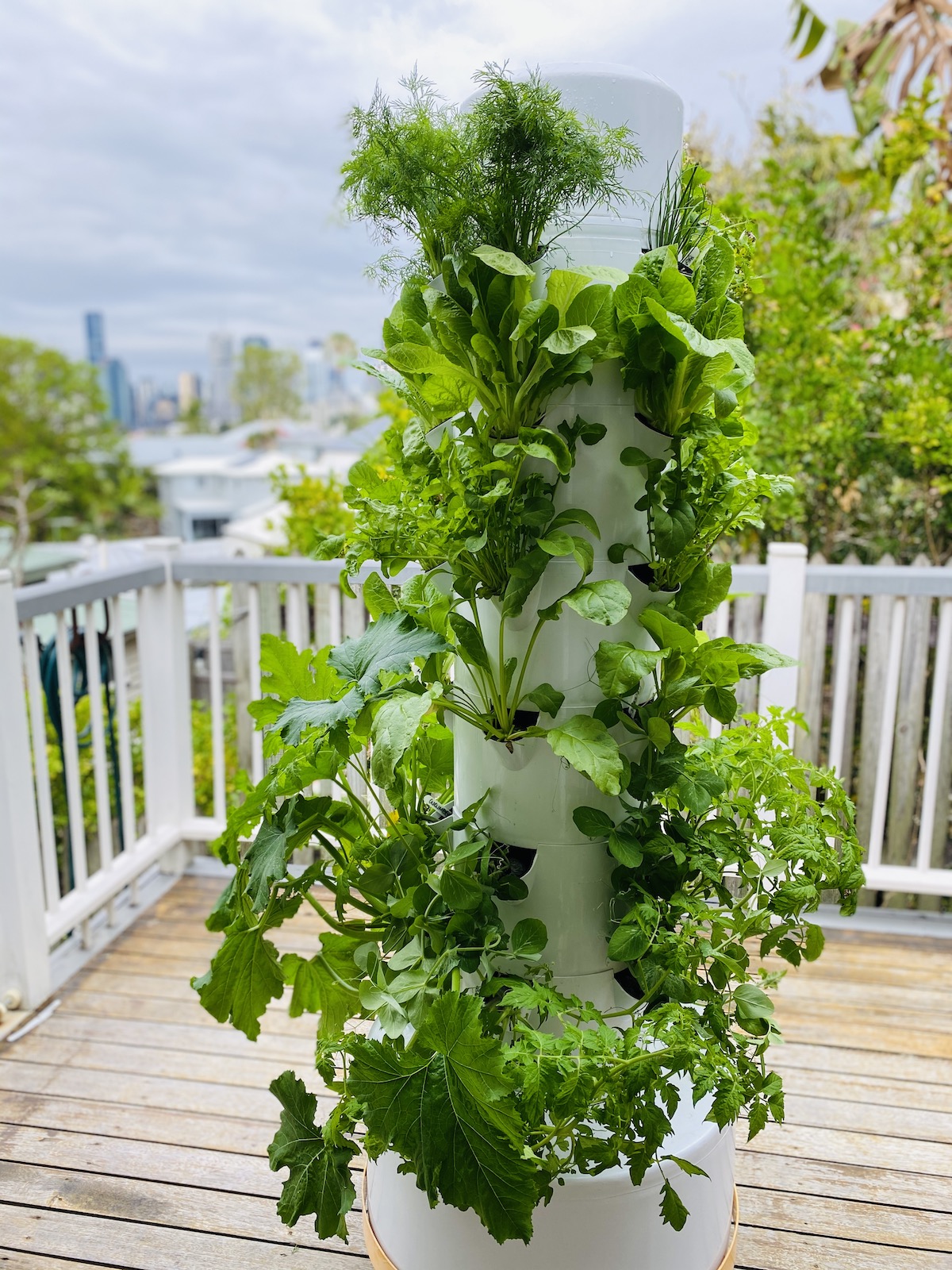 Meet Airgarden The Failproof Vertical Garden That Fits On Your Balcony Urban List