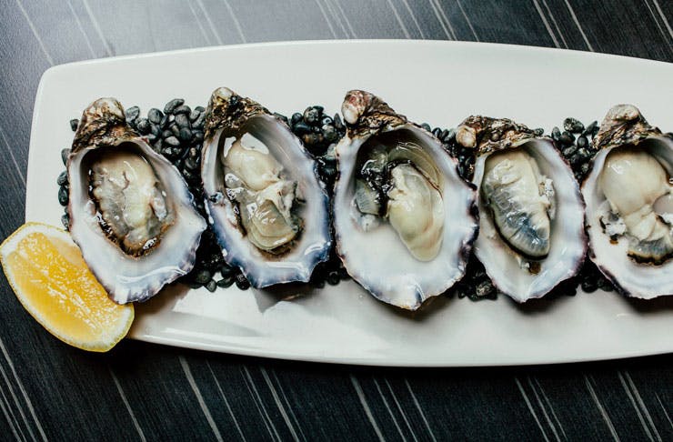 Aw Shucks! Where To Find Auckland’s Best Oysters | Auckland | The Urban