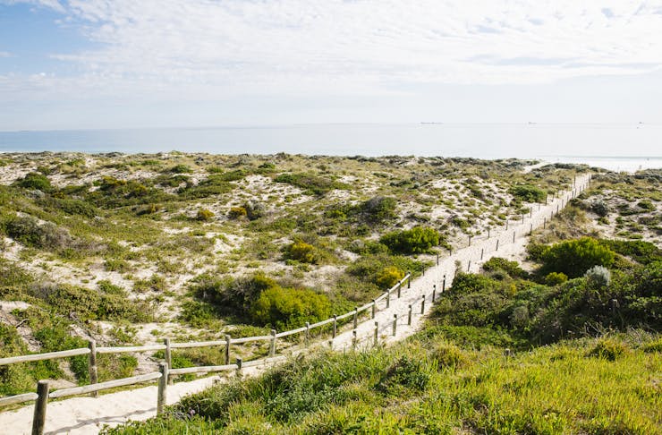 Take It Easy, Here Are Perth's Best Short Walks Under 4KM | Urban List