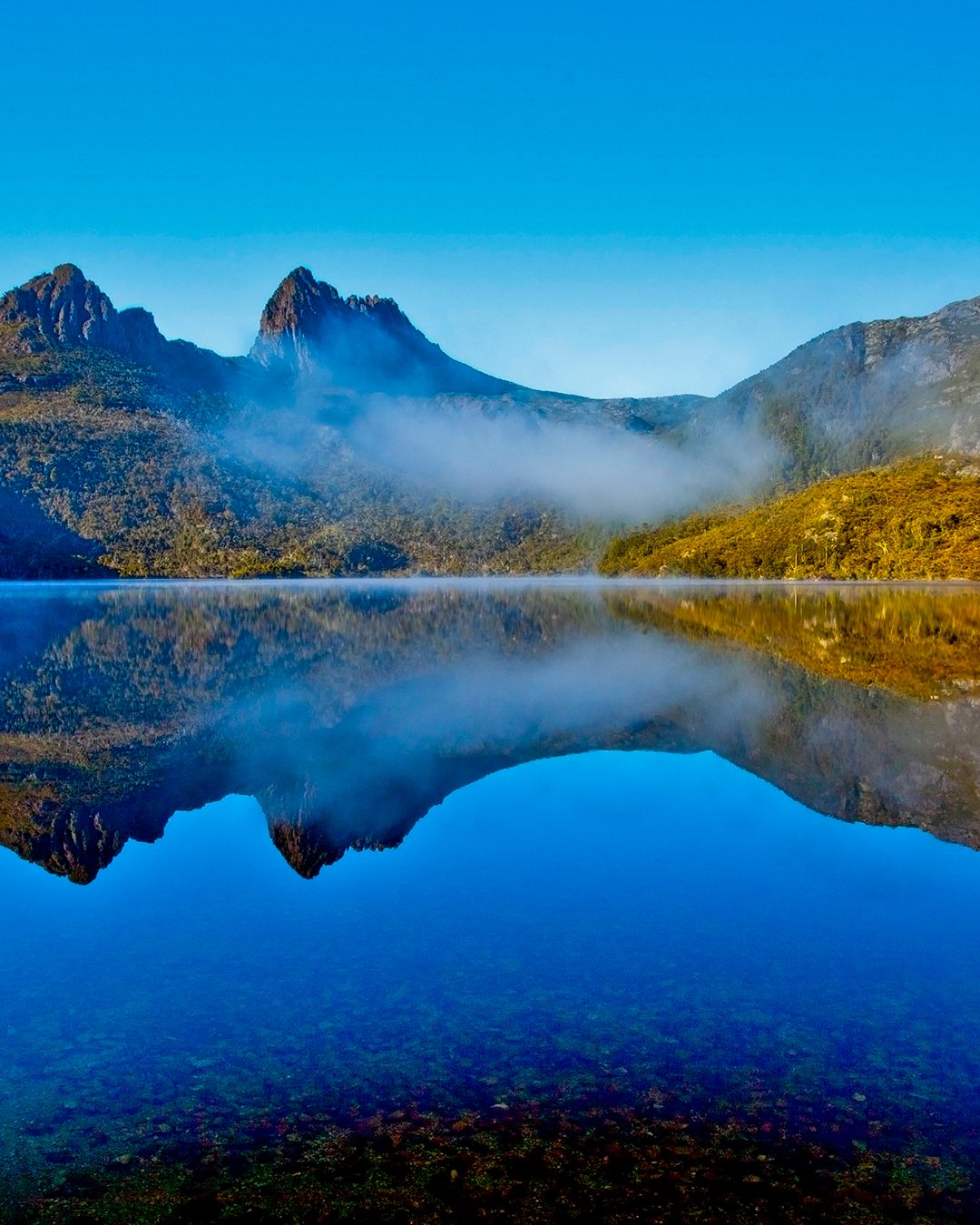 Cradle Mountain looms above a lake, in which it's reflection shows in the glass-like lake.