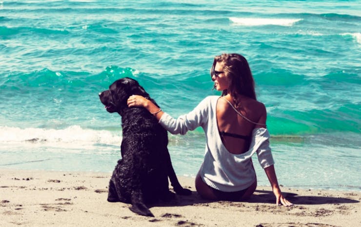 6-top-dog-friendly-beaches-on-the-gold-coast-urban-list-gold-coast