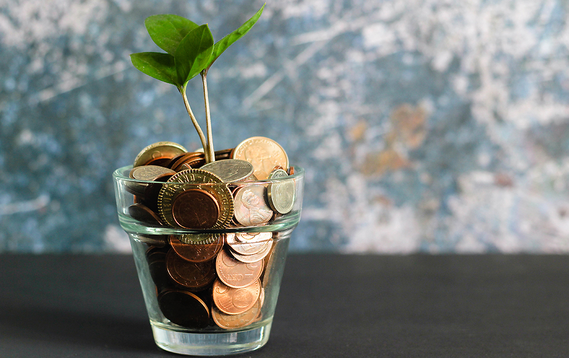 A full penny jar with a shoot of life growing from the top