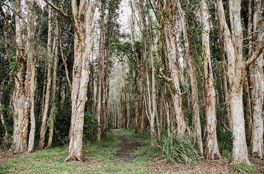 Inside Look This Epic Glamping Ground Just Opened And It S Got A