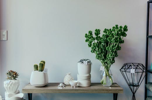 Where To Buy Indoor Plants In Brisbane Urban List Brisbane