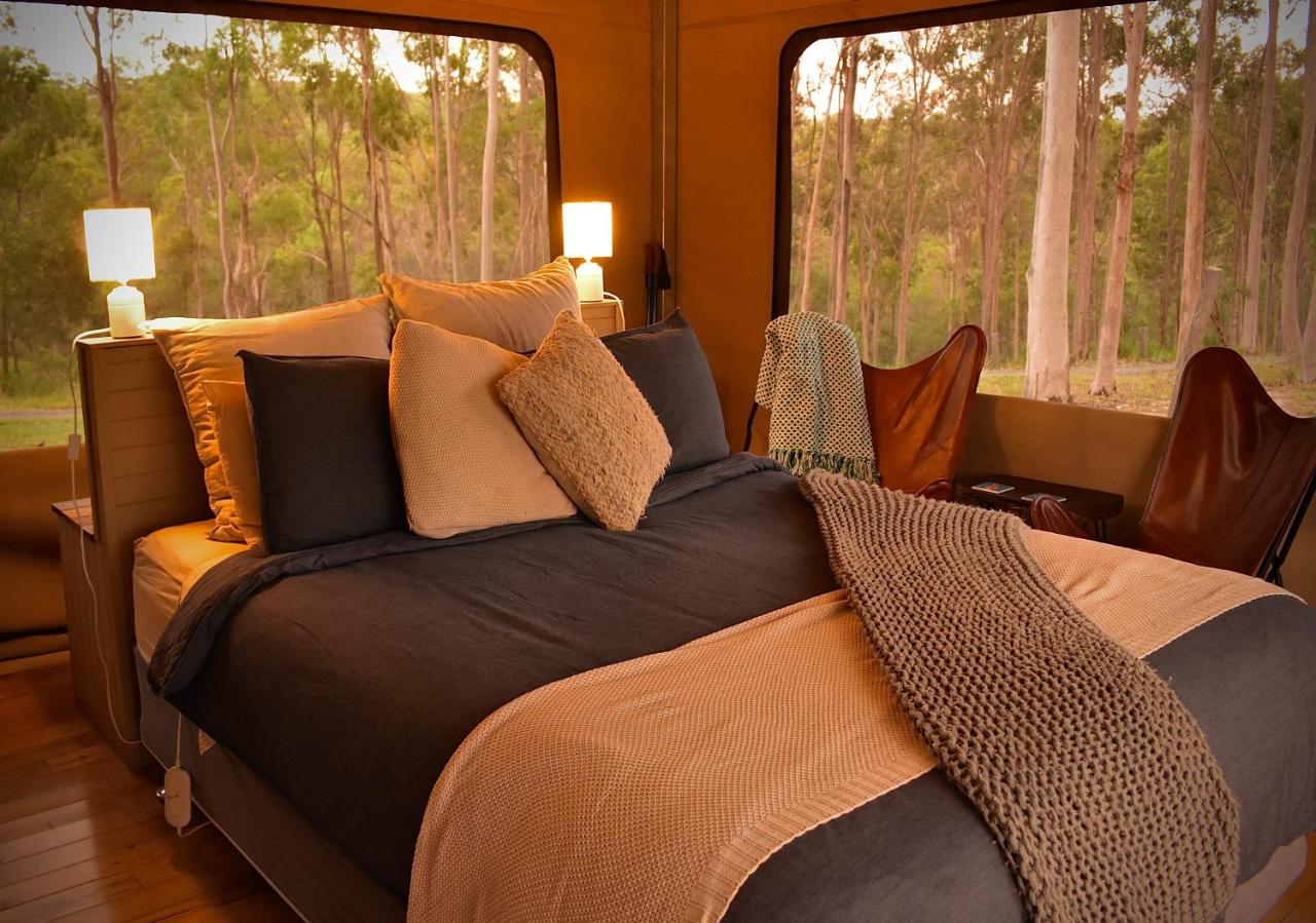 Queen-sized bed in a cabin with bushland outside the windows