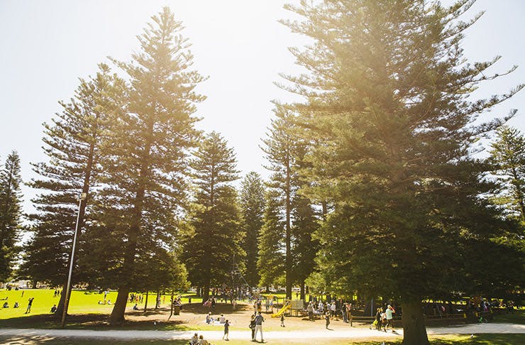 The Most Beautiful Parks In Perth For (Not) Drinking Wine And