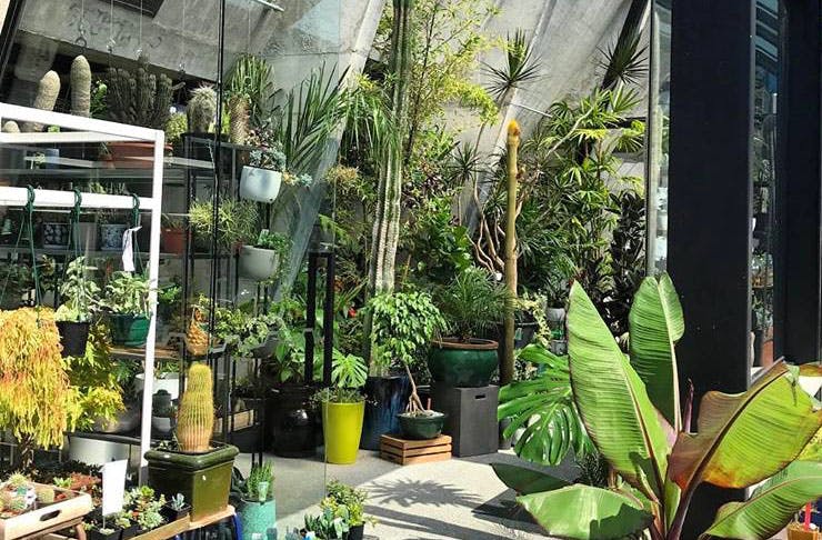 There’s A Massive Plant Sale This Weekend!