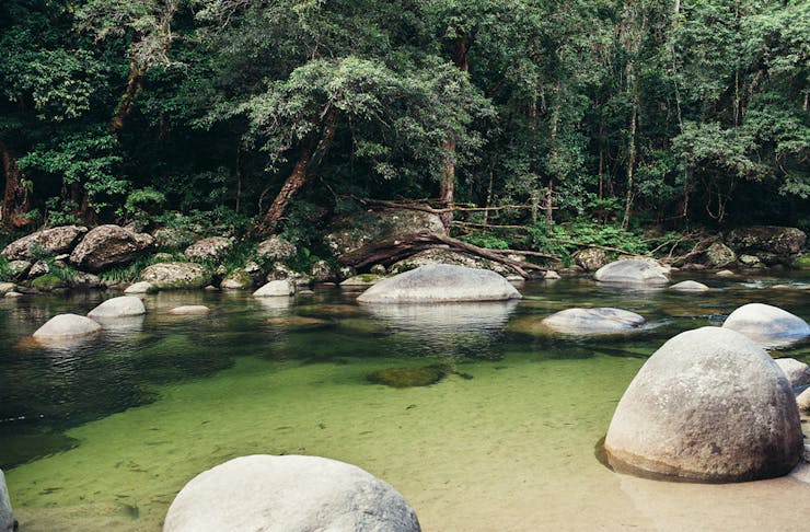 Clear creek fringed by rainforest, with granite boulders in the water