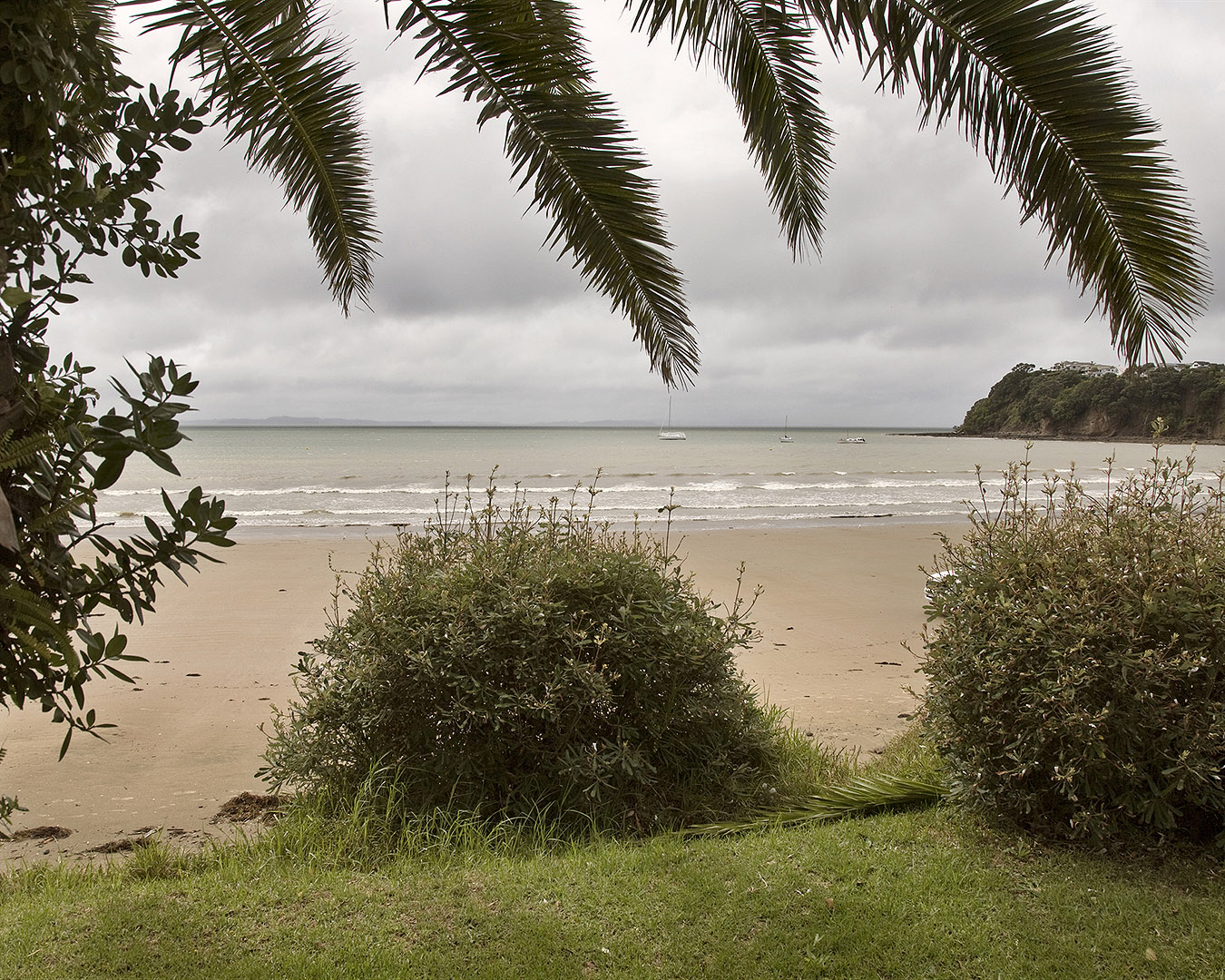 Stanmore Bay is seen from a grassy area with palm trees and greenery.