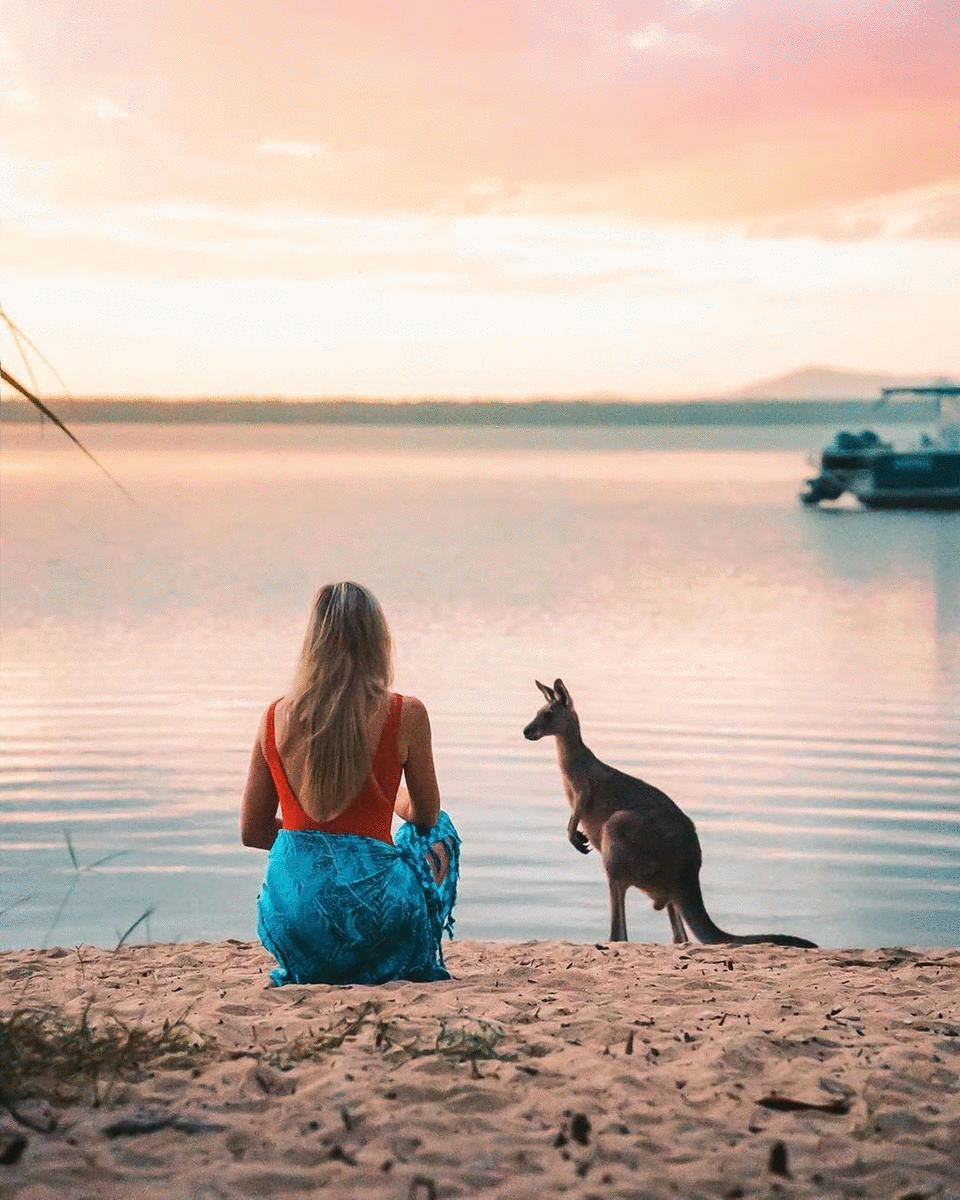 A woman crouches on the beach at sunset to feed a kangaroo. 