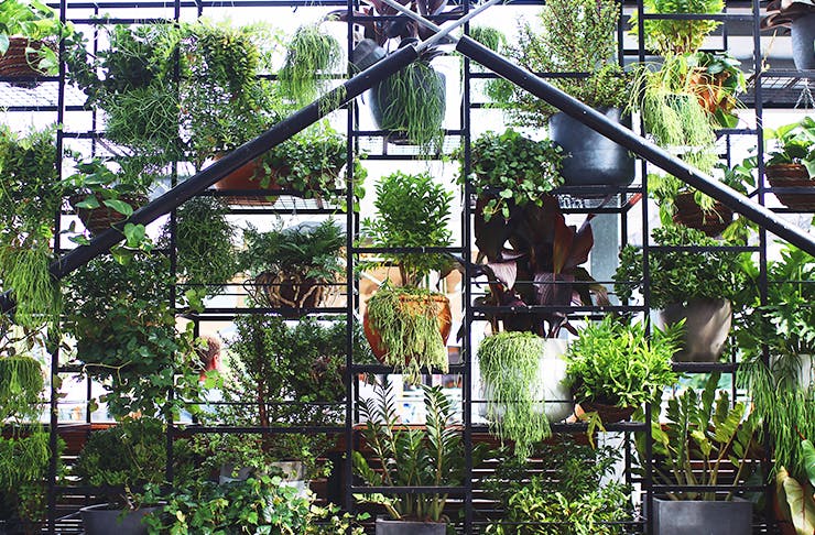 best urban gardens brisbane