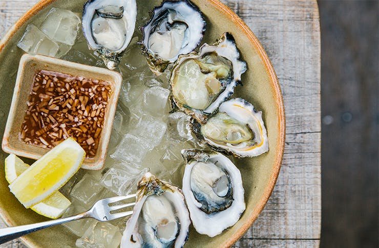 Get Shucked | The Best Places To Eat Oysters In Sydney | Urban List Sydney