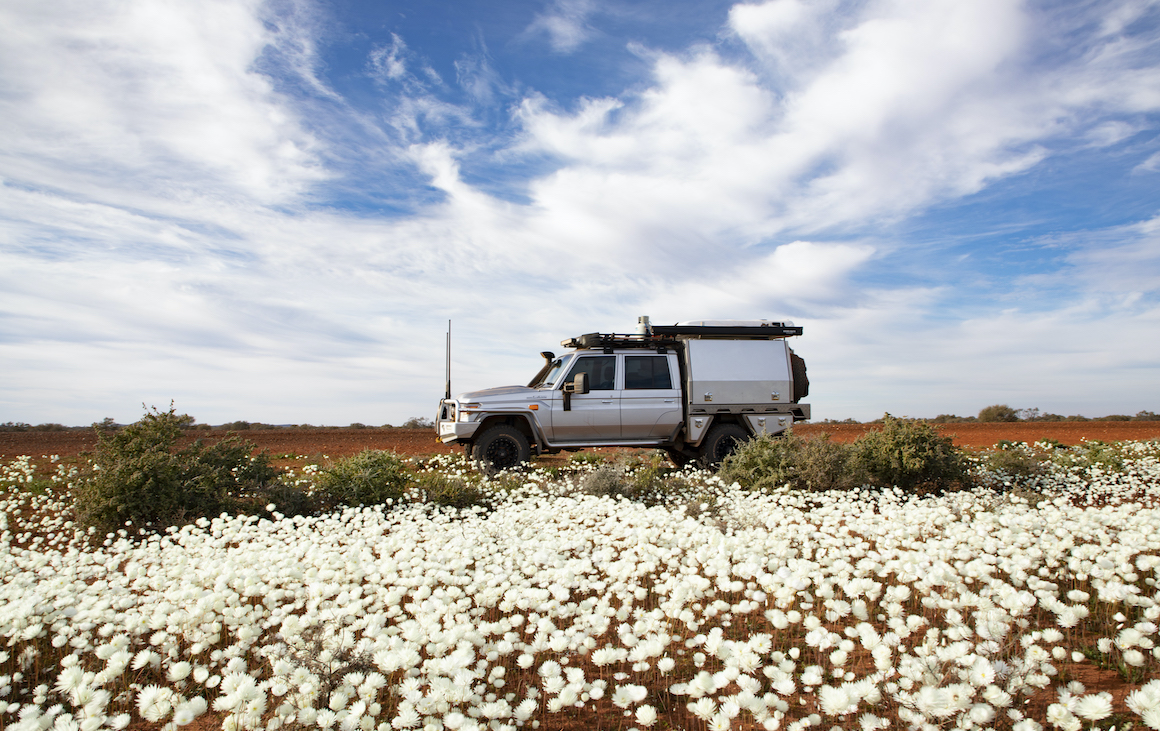 Fill Up The Tank And Head Off On This Jaw Dropping Wildflower Road Trip