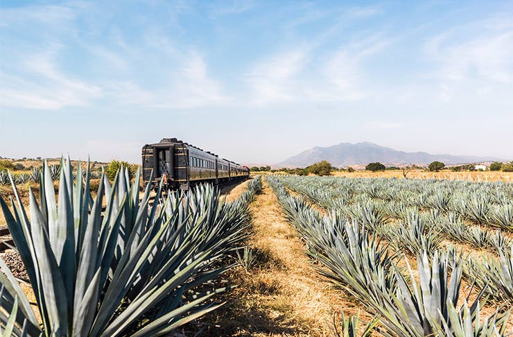 All Aboard Mexico’s All-You-Can-Drink Tequila Train