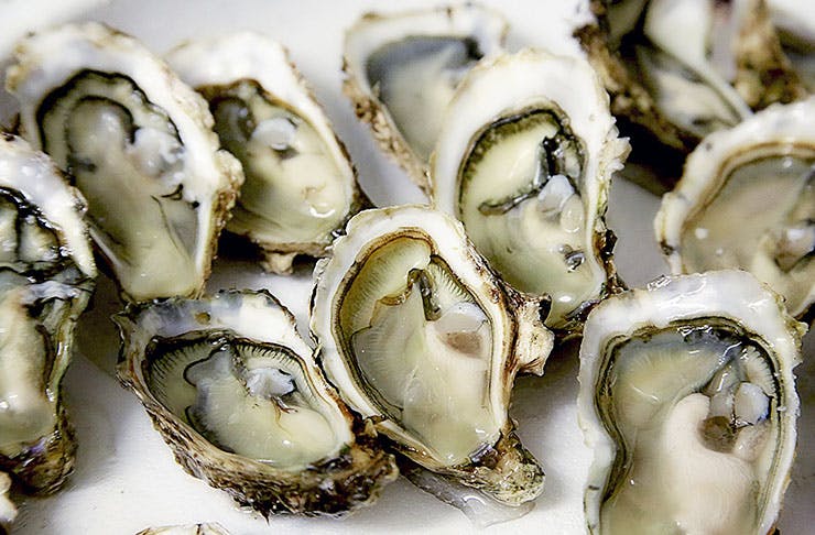 Get Ready To Feast At The Festival Of Oysters | Urban List NZ