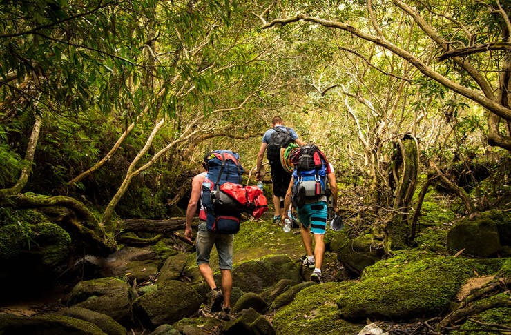 5 Of Sydney’s Best Hikes | Urban List Sydney
