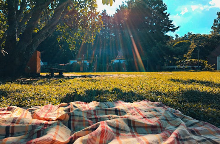 Best Places To Have A Picnic In Sydney | Urban List Sydney