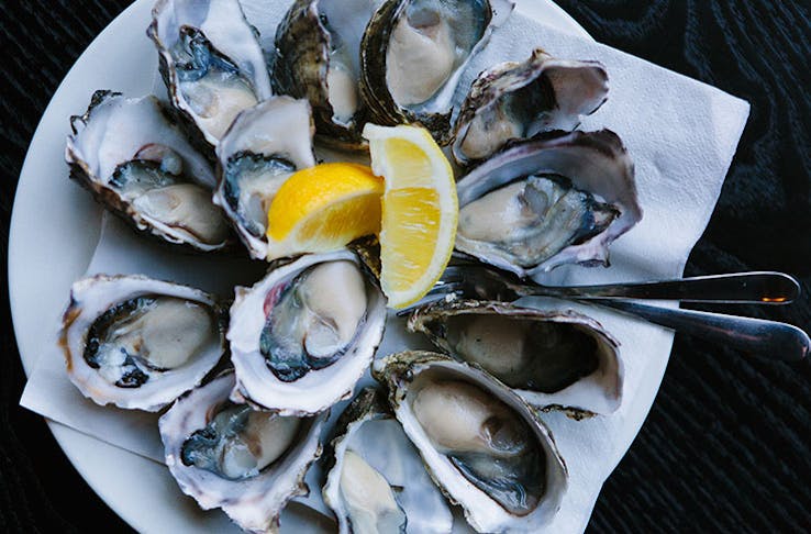 where-to-eat-the-freshest-seafood-in-brisbane-brisbane-urban-list