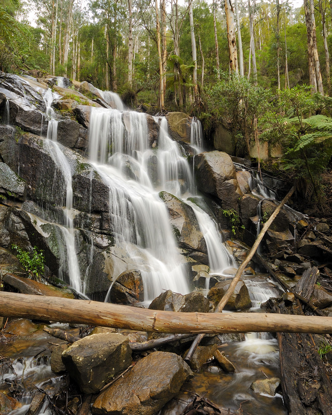 Best Waterfalls To See In Victoria | 2020 | Urban List Melbourne