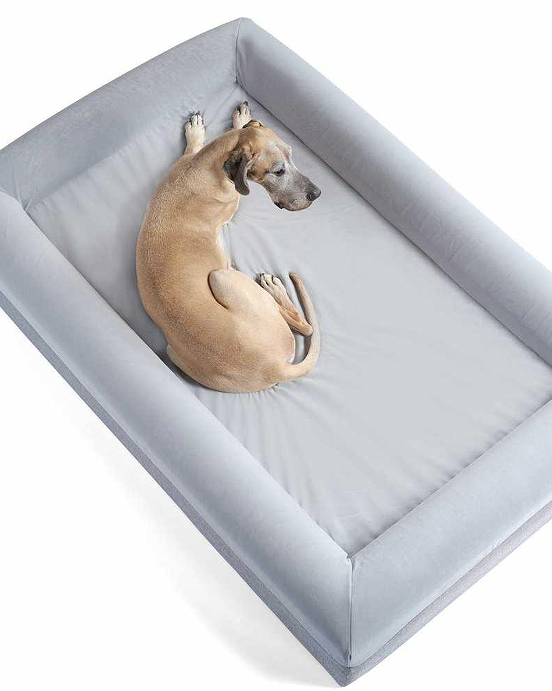 The XXL Barney Dog bed.