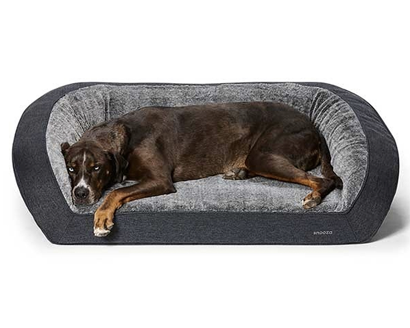 This Snooza dog sofa is the best orthopaedic dog bed for dogs with arthritis. 