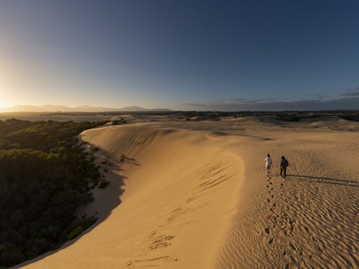 Image result for Wilsons Promontory National Park desert