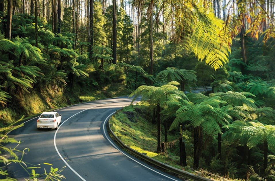 The Best Scenic Drives In Victoria Urban List Melbourne