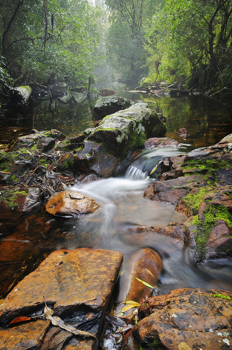 A stream trickling the best camping Victoria has to offer, Cape Conran.