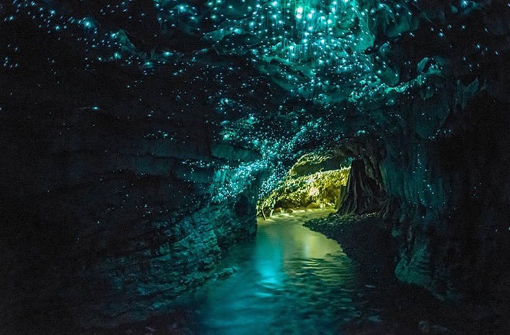 Caves In And Around Auckland You Will Want To Visit | Auckland | The ...