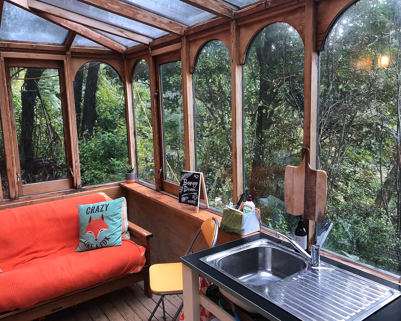 A view of the dense bush from the cozy caravan amongst the trees, one of the best pet friendly accommodations in New Zealand.