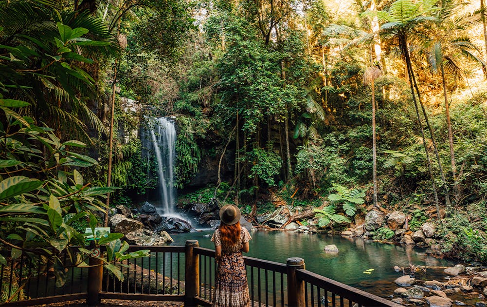forlade jul menneskelige ressourcer 12 Waterfalls Near Brisbane To Go Chasing | Urban List Brisbane