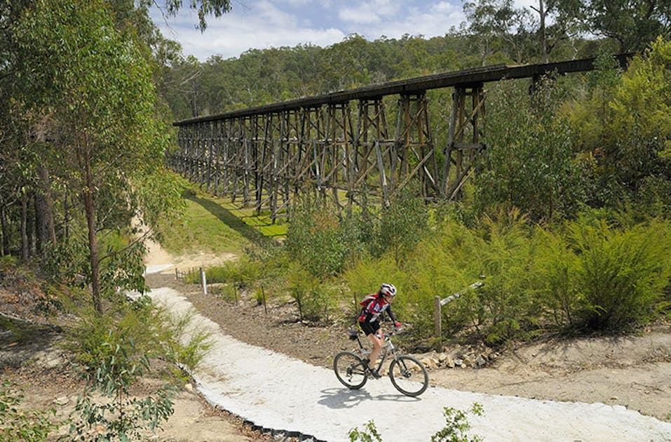 Mountain Bike Trails Near Melbourne | Rainbow Spin Wheel Challenge In