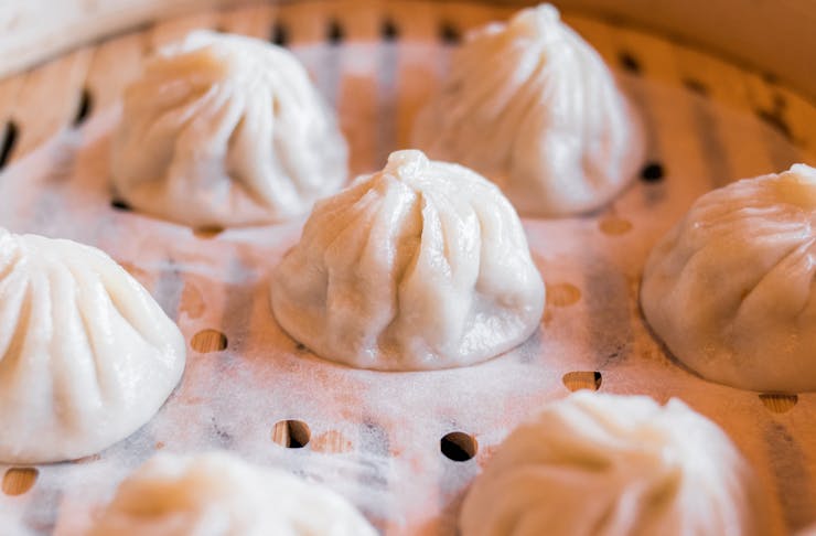Dumplings, What's on in Auckland this September