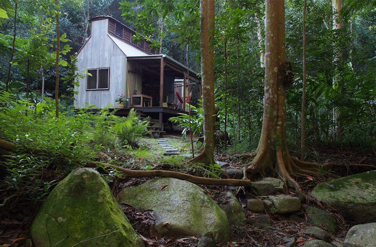a corrugated iron cabin in a rainforest