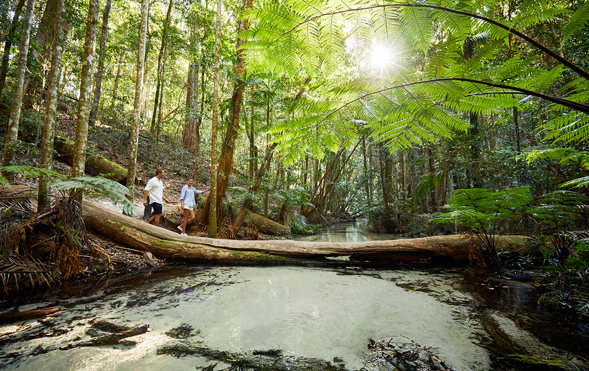 two people walking across a log over a creek