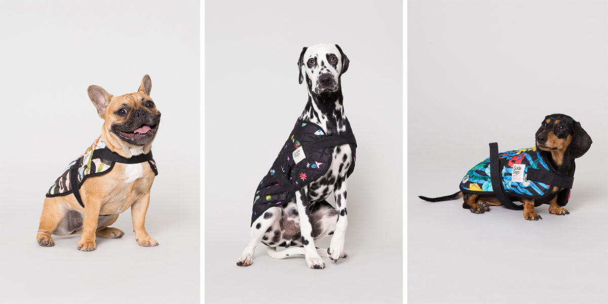 Gorman dog raincoat sale