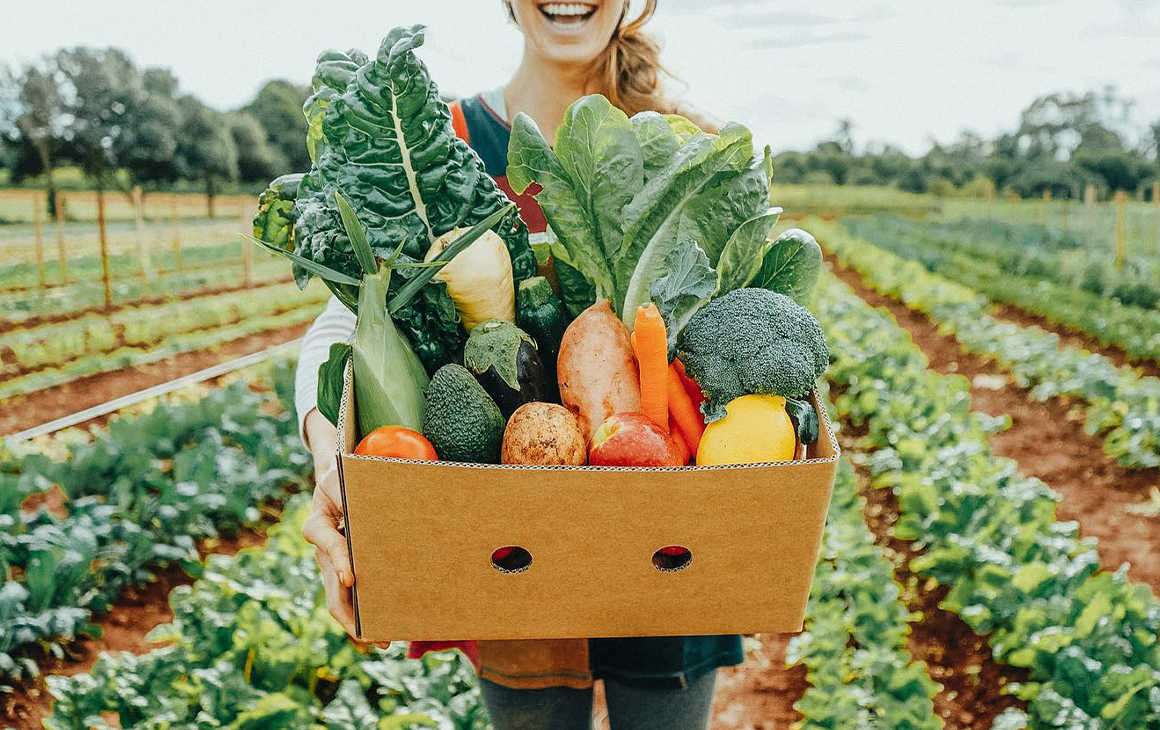 fresh food delivered to door