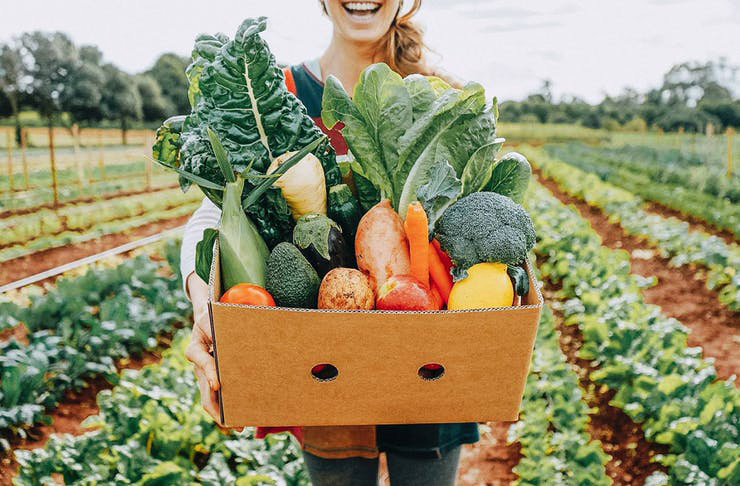 local vegetable delivery