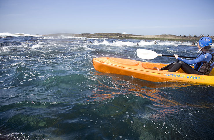 Rent A Kayak Melbourne