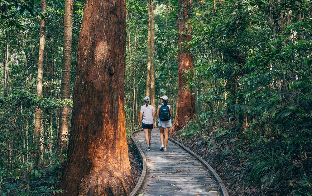 termometer mineral Opgive 9 Of The Best National Parks In And Around Brisbane To Explore | Urban List  Brisbane