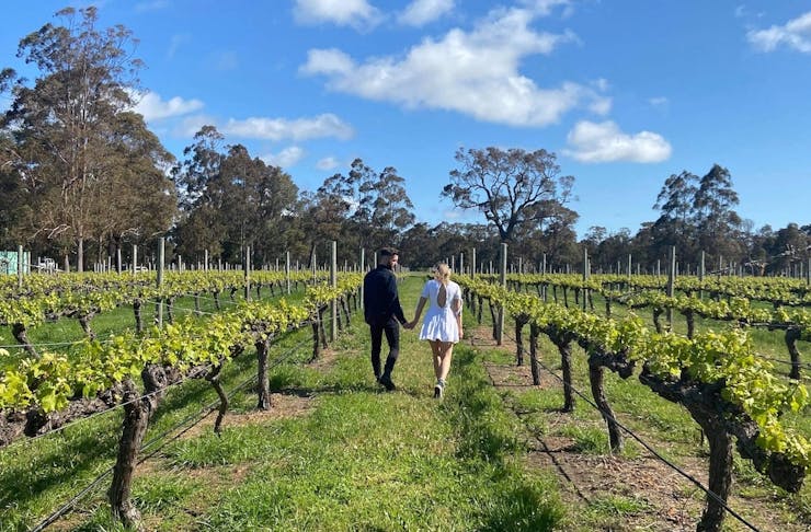 two people walking between the vines at a Margaret River winery