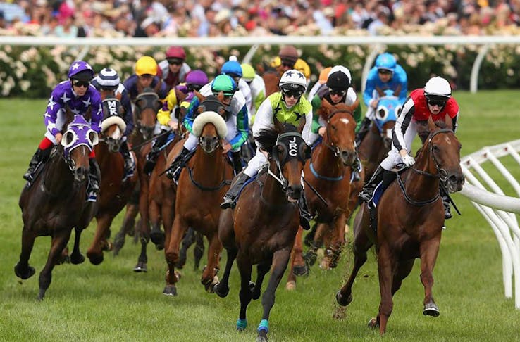 Your (Unreliable) Melbourne Cup Betting Guide 2016 | Urban List Sydney