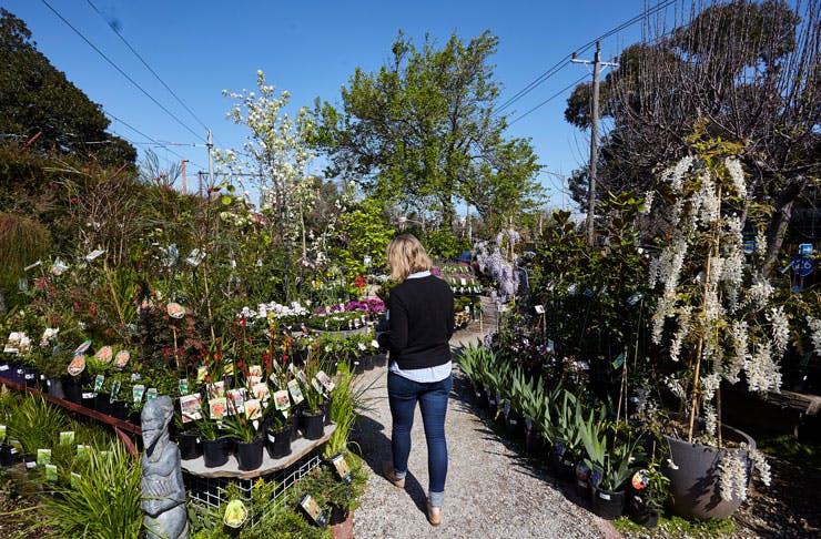 Melbourne S Best Nurseries The Urban List