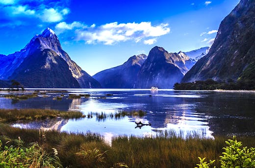 vil gøre formel Ord 20 Nature Encounters To Have In New Zealand Before You Die | Urban List  Perth