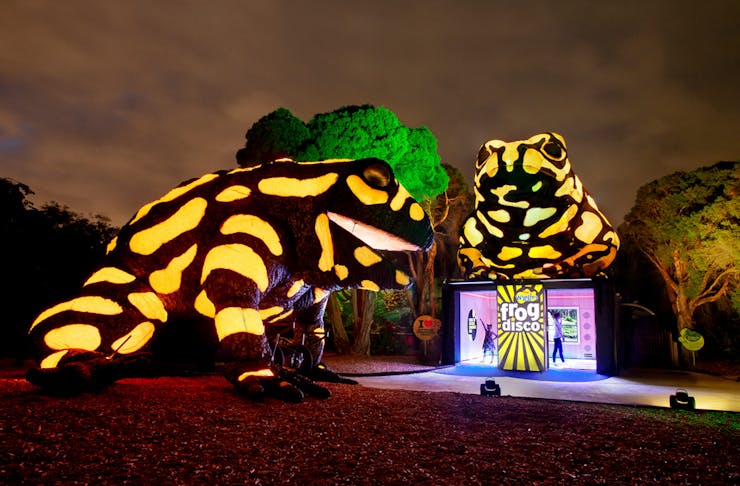 neon-playground-melbourne-zoo