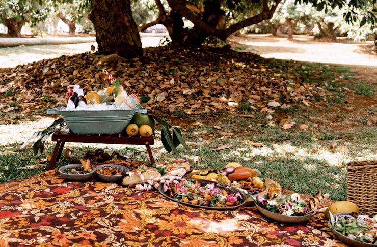 A picnic rug, complete with a spread of food and drink, sits underneath the trees in an avocado orchard. 
